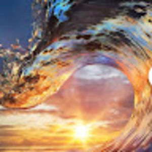 Meet your Posher, Ava